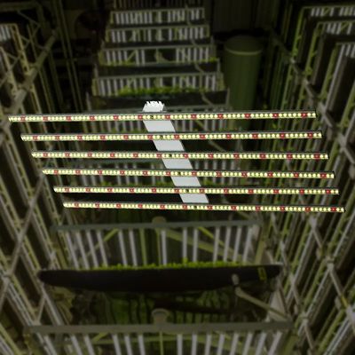 聚焦新賽道 植物工廠與AI系統集成服務的融合與前景