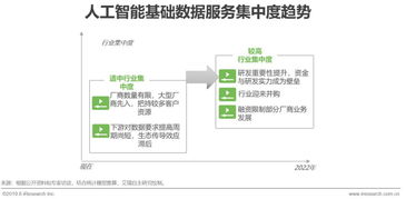 2019年中國(guó)人工智能基礎(chǔ)數(shù)據(jù)服務(wù)與行業(yè)應(yīng)用系統(tǒng)集成服務(wù)白皮書(shū)